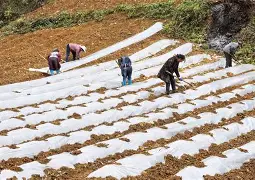 库里年薪TOP10球迷热议(库里连续九年年薪霸榜第一)
