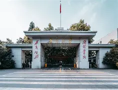 哈兰德赛事规则更新再成焦点的简单介绍